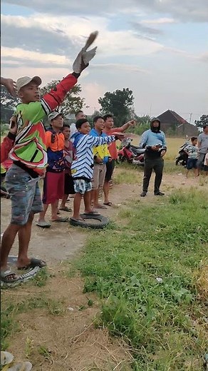 Lomba Jagungan Burung Dara Balap