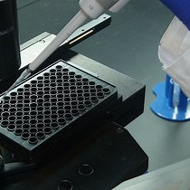 Video: In Vitro Colony Assays for Characterizing Tri-potent Progenitor Cells Isolated from the Adult Murine Pancreas