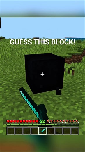 CAN YOU GUESS THIS BLOCK WITH THESE HINTS? GUESS THE BLOCK CHALLENGES | Shulky playz #minecraft