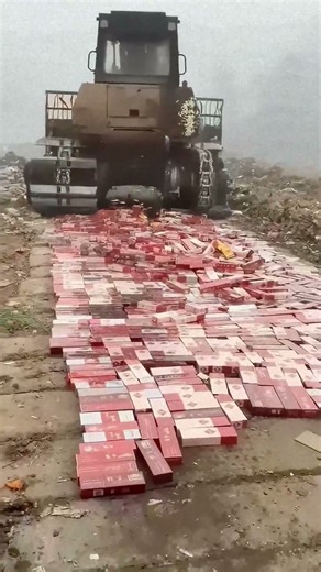Road Roller Crushing Piles of Cigarette Boxes, Shocking Scene!