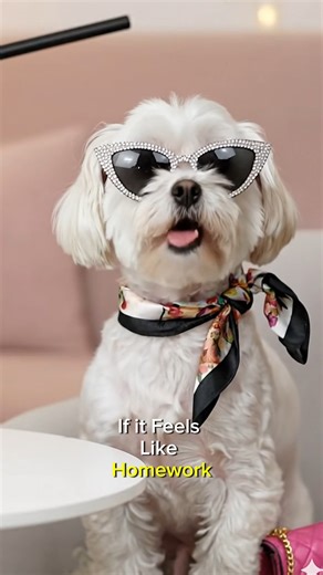 Talking Stage Advice | Sassy Maltese Queen | Facebook