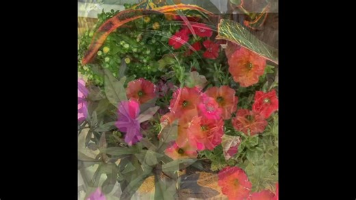 Fall for Fall Container Gardens! Visit our Potting Station for our help creating yours seasonal statement!  | All Seasons Nursery - Acadiana's Home, Garden & Landscaping Showplace | Facebook