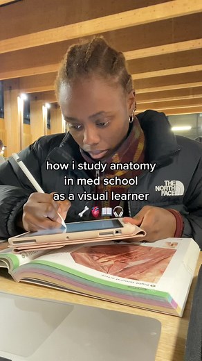 Choosing the Best Study Method for Visual Learners