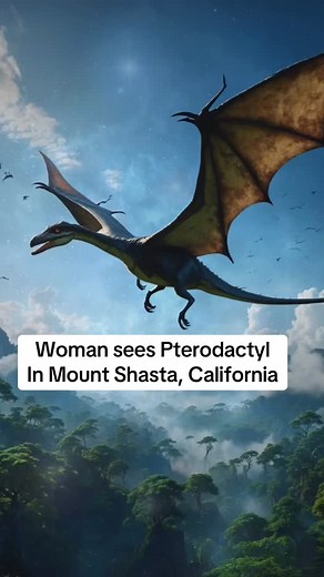 Mount Shasta… Pterodactyls & strange reality anomalies?! 🤯🏔️🌀🛸 This is an experience I had while on my way down from a massive hike at Castle Crag in Mount Shasta, California. 🌀 Mount Shasta is a massive portal, is known for having entrances to Inner Earth, and is the crown chakra of the planet - where many strange, bizarre & incredible things can happen that defy logic. 🪄 Have you experienced anything like this? 🧐 The veil is thinning! 🎙️ Check out full video on my YT! . . . . . . #star