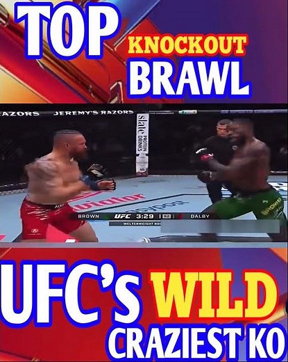 Top Savage Knockouts in UFC Brawls 😳👊