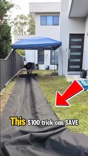 This $100 Trick Can Save Your Entire House | DIY French Drain System #shorts