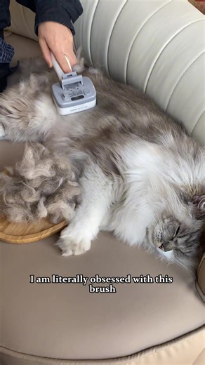 Upgrade Your Cat Grooming Routine with This Brush