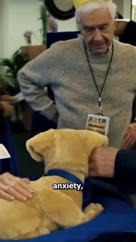 These robot puppies help with dementia and mental health