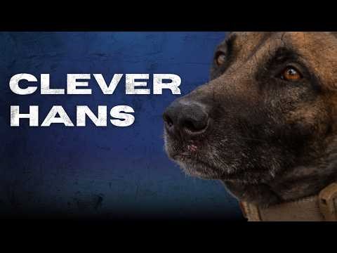 How to Structure Detection Training: Clear Search, Single Blind, Double Blind