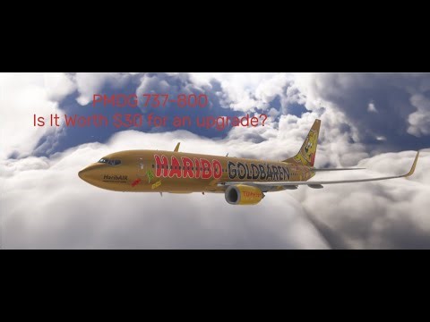 PMDG 737-800 Review