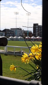 Finishing touches. 👌🌱 | Sussex CCC