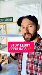 Post the word “seedling” if you are starting seeds this season! 🌱✨Leggy seedlings? That’s a sign your baby plants are stressed! 😟 When they stretch too tall too fast, they’re craving better light and cooler temps. 🌞❄️🌡️ Germination mats are great for getting seeds sprouted, but once they pop up—take them off the heat! This helps them stay short, stout, and strong. 💪🌱A little tweak now = healthier plants later! Who else is starting their seedlings soon? Drop a 🌱 in the comments!#seedstarti