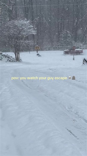 Life After the Accident: Reflections on a Snowy Day