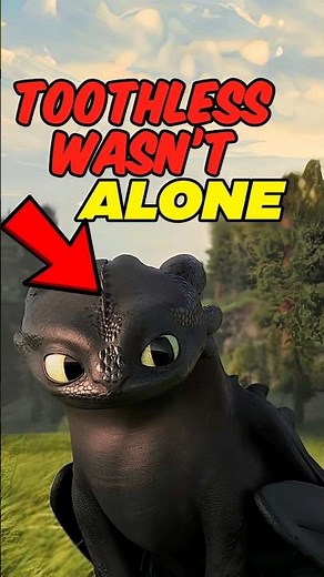 Toothless Lost Everything Before the First Movie…
