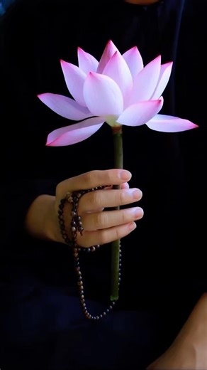 7 cái “không “ giúp bạn không mệt mỏi cả đời #loiphatday #phatphap