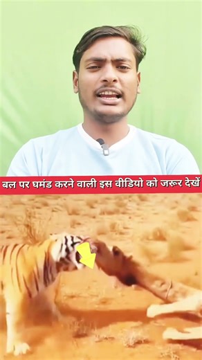 #video शेर #ऊंट के #जबड़े से खुद को #नहीं छुड़ा #पाया #trending #animals #virelvideo