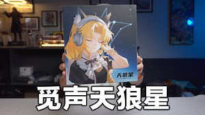 618居然还有这样宝藏的耳机我不知道？觅声天狼星