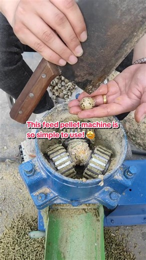 Easy Feed Pellet Machine for Small Farms