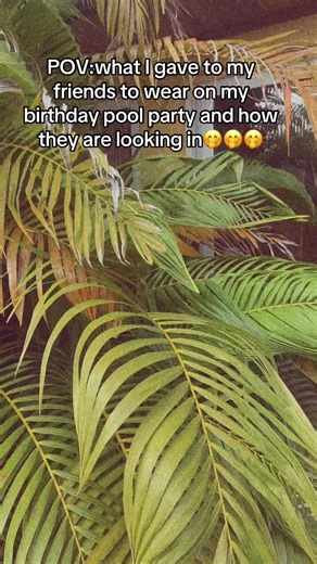 Birthday Pool Party Outfit Ideas for Friends