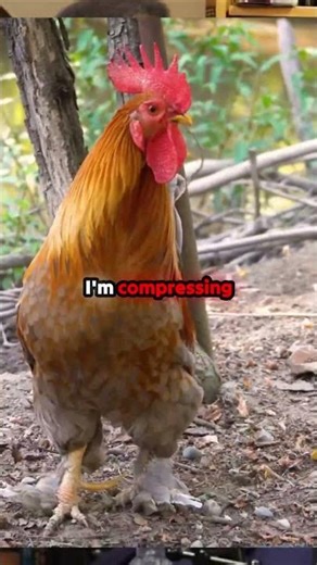 The AGE-OLD RIDDLE FINALLY SETTLED! 🤯 Dawkins vs. Tyson on the impossible question.