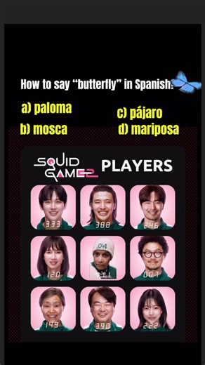Nibaldo on Instagram: "How to say “butterfly” 🦋 in Spanish?"