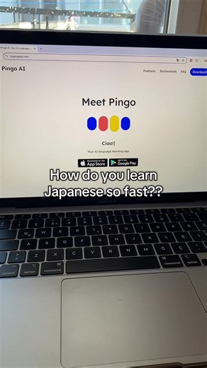 Effective Tips for Fast Japanese Language Learning