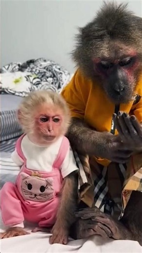 Baby Monkey Lala Eating With Her Mom 🐒❤️ | Cute Family Monkey Moments
