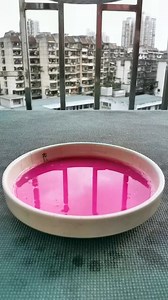 Nice Slow Motion #slowmotion #reels #REEL #TRENDING #NEW #SHORTS | SlowMotion