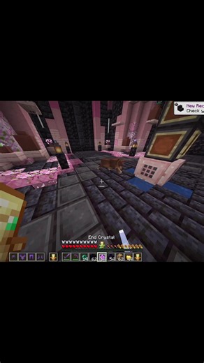 DrDonut pulled and ELIMINATED #donutsmp #drdonut #crystalpvp #mcpvp #vincentvanilla