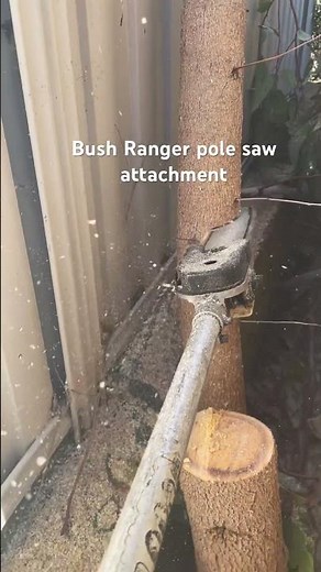 How to use a pole saw #polesaw #asmr