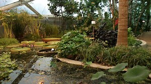 Aarhus Botanical Gardens in Aarhus, Denmark