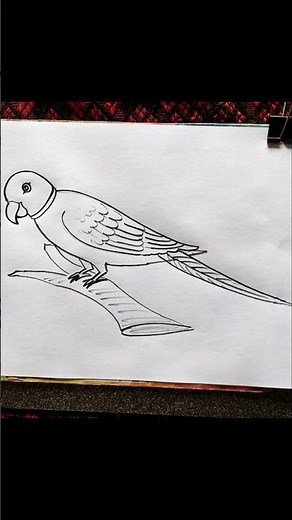 parrot Drawing For beginners | How to draw parrot | #parrot #shorts