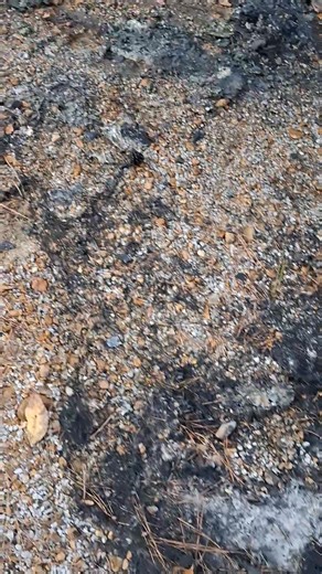 Greg Lukacs on Reels