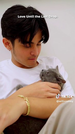 Pamper Your Cat with Fancy Feast: A Gourmet Experience