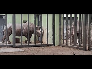 Amazing Tallinn Zoo, Estonia. A country of beautiful people and culture.