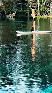 229K views · 1.8K reactions | Unbothered paddle with an alligator #onlyinflorida #wildlife #reptiles #alligator #alligators #Gators #crocodile #adventuretime #paddle #paddleboarding #paddleboard #florida #floridalife #floridasprings #floridaliving #travel #getoutside #exploremore #nature #naturelovers #animals #wildanimals #funny | Lakewet | Facebook