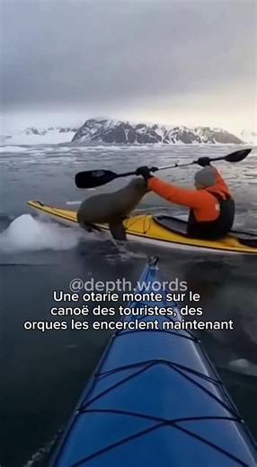 Fascinant monde des animaux : connaissez-vous ?