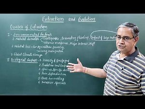 Extinction and Evolution