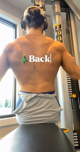 Christmas Tree Back #backworkout #gym #bodybuilding #coaching