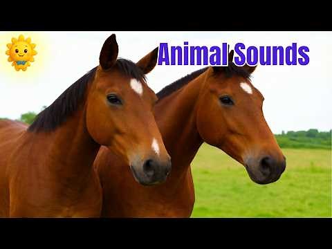 Animal Sounds and Names for Toddlers (35 Amazing Farm and Wild Animals) | Solar Kids Learning