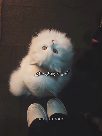 Sad Song on Being Alone