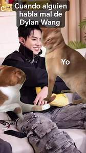 Aquí somos guardianas y protectoras de esa sonrisa 😏😌❤️ #DylanWang #WangHeDi #dylanwang王鹤棣 #cdramalovers #cdrama #doramas #humor | Drama Queen Wang