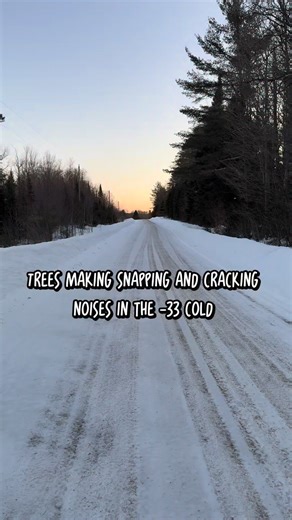 Chrissy Schonauer-Shields on Instagram: "Trees making snapping and cracking noises in -33 Cold #coldweather"