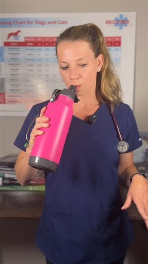 Dr. Hayley McDonald | Specialist Veterinary Cardiologist on Instagram: "⚡️ Rapid Fire Recap: Cardiac Pacemaker Cell 🔥 Where? → Nodal: SA & AV node = “slow response” action potential 📈 What’s unique? → No true resting membrane potential → Spontaneous depolarization (automaticity!) 🔋 Phases: Phase 4: Slow inward Na⁺ “funny current” → Transient Ca²⁺ (T-type), then long-lasting Ca²⁺ (L-type) finish depolarization Phase 0: Ca²⁺ influx = upstroke Phase 3: K⁺ efflux = repolarization 🫀Nodal tissues 