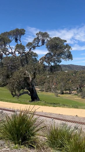 VMR (Victorian Miniture Railway) Community Day Sunday 9th November 11am - 5pm Come along and support these incredible people, their vision and what they are doing in Harcourt. Enjoy free Sausage Sizzle, Coffee, Train rides, Fairy Floss and Hot Popcorn. | Wilkinson Noble Property Partners