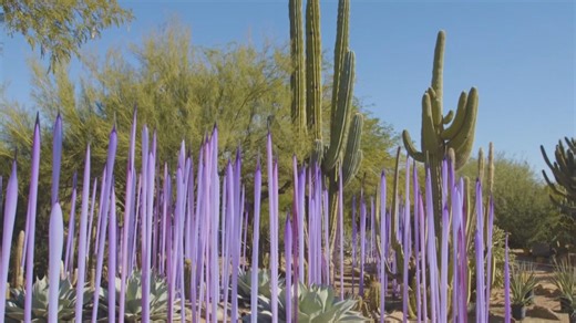 Glass artist Dale Chihuly's exhibit takes inspiration from Arizona's desert landscape
