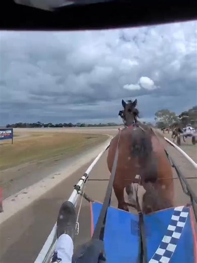 93K views · 1.7K reactions | Some amazing vision from top reinswoman Kate Gath, who sported her Oakley Meta glasses while driving Ringer Wells today at Maryborough!  | Harness Racing Victoria | Facebook