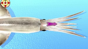 Cooking Mama: Cuisine! is now available to play on Apple Arcade! Did you try out the game yet? Head over to Apple Arcade to try it out! | クッキングママ | Facebook