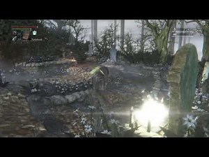 bloodborne online , the future of shadPS4