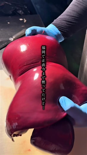 レバー好きにおすすめ！ #福岡グルメ #福岡観光